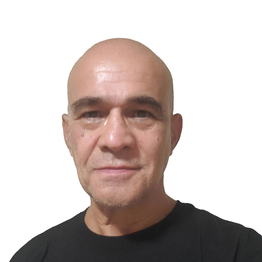 Faculty Member Ion Ghiviriga