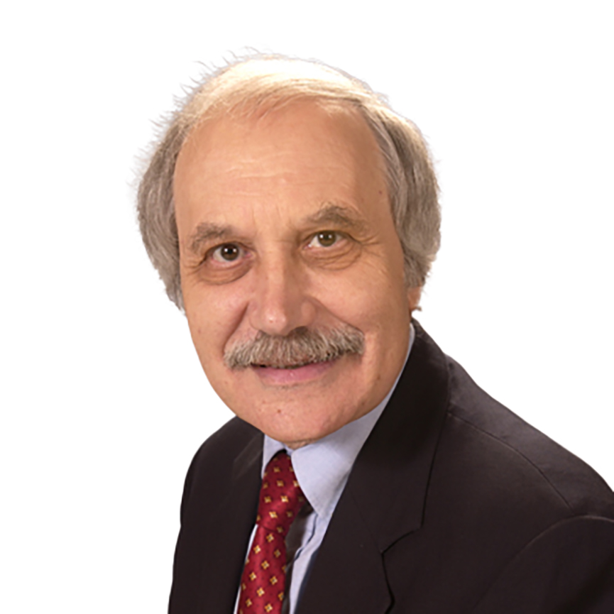 Faculty Member Nicolo Omenetto